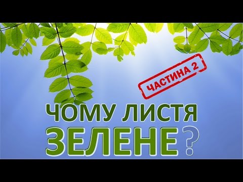Видео: Чому листя зелене. 2 частина [MinuteEarth]