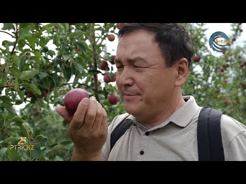Видео: "ЖЕР ЖӘННАТЫ - ЖЕТІСУ" деректі фильмі / РТРК.KZ ұсынады