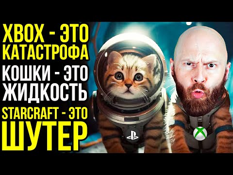 Видео: XBOX - это катастрофа. Кошки - это жидкость. StarCraft - это шутер