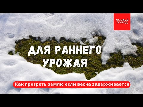 Видео: 3 способа прогреть землю если весна задерживается | Для раннего урожая в вашем огороде или теплице