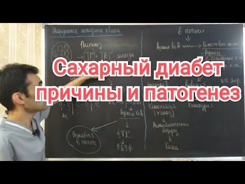 Видео: Сахарный диабет. Все механизмы, на биохимическом уровне. Патфиз.#34