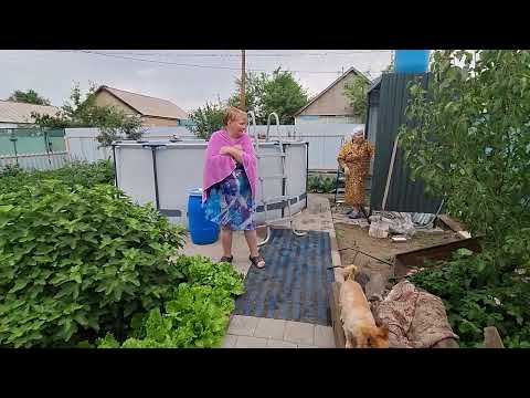 Видео: КУПАЕМСЯ В БАСЕЙНЕ.                     ОБЕДАЕМ В СТОЛОВОЙ.