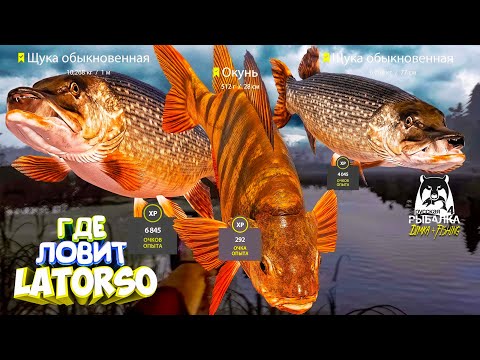 Видео: Русская рыбалка 4.🎣🦈 оз. Старый Острог 🐬🐠🐬💦 ГДЕ ЛОВИТ LATORSO 👀