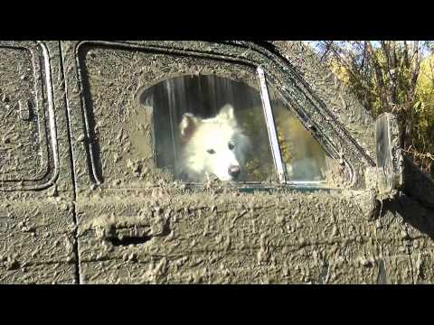 Видео: Джиперские покатушки клип