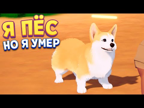 Видео: Я ПЁС НО Я УМ... My Little Puppy