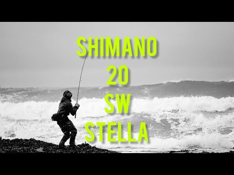 Видео: SHIMANO 20 SW STELLA 4000 чем может удивить внутри ?