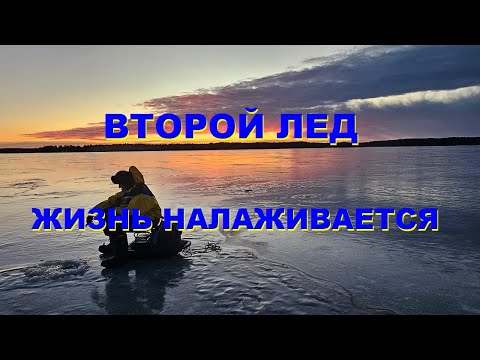 Видео: ВТОРОЙ ЛЕД. ЖИЗНЬ НАЛАЖИВАЕТСЯ