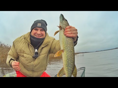Видео: ЛОВИМ ЩУКУ НА КРУЖКИ ПОЗДНЕЙ ОСЕНЬЮ! В ЗАТОНАХ РЕКИ ВОЛГА.