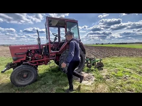 Видео: Підгортаємо картоплю трактором Т25! Працюємо по людськи!!!