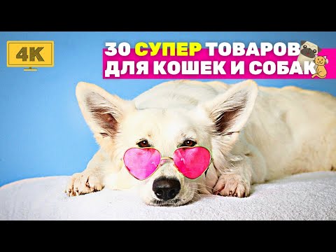 Видео: ЗООТОВАРЫ для домашних животных с Алиэкспресс | Полезные товары для собак и кошек с AliExpress