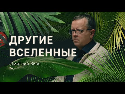 Видео: Астроном про апокалипсис и другие вселенные. Дмитрий Вибе