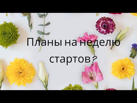 Видео: Планы на неделю стартов!
