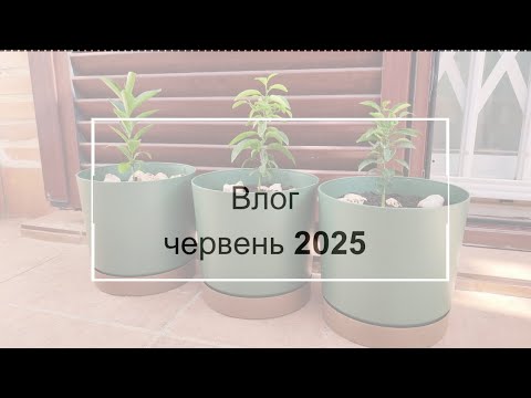Видео: Влог. Червень 2025