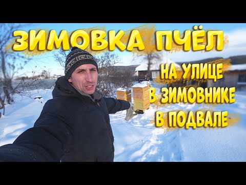 Видео: Как проходит зимовка пчёл на улице, омшанике, подвале?!
