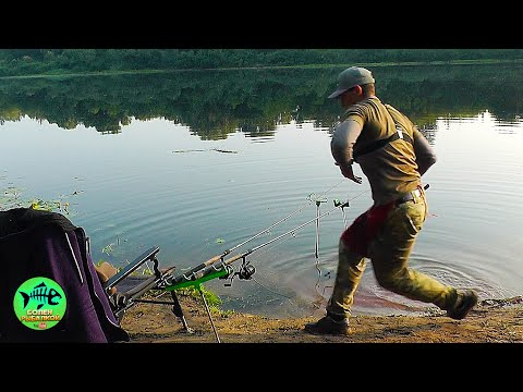 Видео: Ночевка на реке. Колокольчики Звенят. Ароматный лещ запечённый на углях. Рыбалка на фидер.