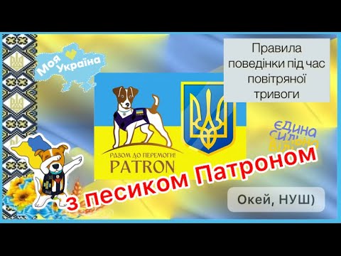 Видео: Правила поведінки під час повітряної тривоги з песиком Патроном, Окей, НУШ) - тут цікаво і корисно)