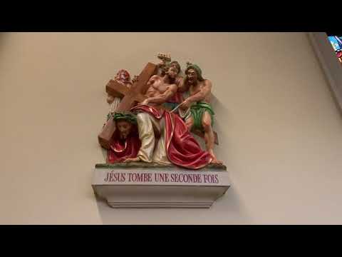 Видео: Большое путешествие по Америке/ Луизиана/ Новый Орлеан/ день шестой