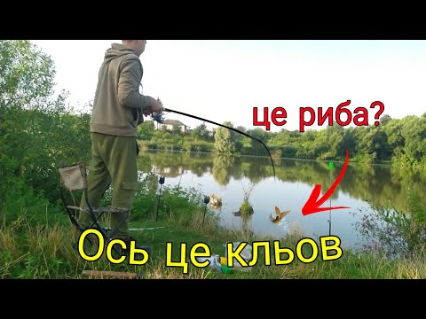 Видео: Рибалка за крупним карасем, ловля на вбивцю карпа і флет на карпа