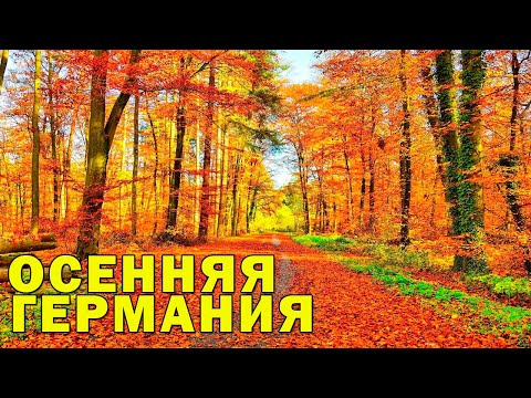 Видео: Осень в Германии,осенняя прогулка - поздние переселенцы в Германии