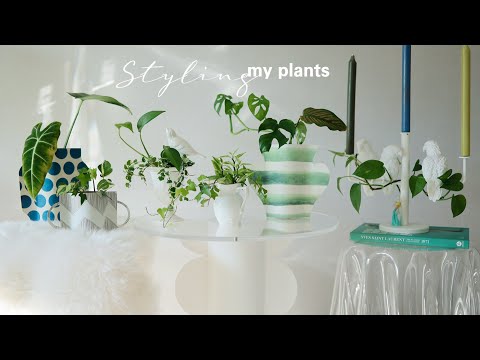 Видео: Создание растительных композиций с дизайнерской идеей💚DIY для гидропоники (икебана/ бумажные вазы)