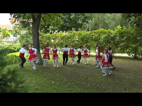 Видео: Ансамбъл "Войводинци" - Играорчета