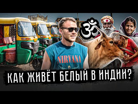 Видео: Индия: Царство диареи. Навоз на улицах и жизнь белого в индийской общаге | Бангалор