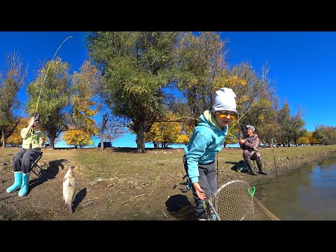 Видео: ЧЕРВЯ НАСАДИЛА, КАРАСЯ ПОТАЩИЛА. РЕБЁНОК НА РЫБАЛКЕ. Осенняя рыбалка на донную удочку.
