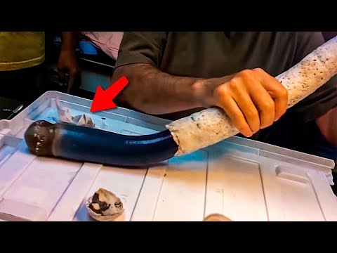 Видео: Вещи, Которые Вы Увидите Впервые
