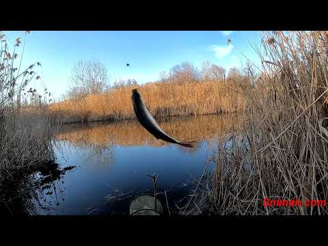 Видео: Гол след гол преди тръгване на баластриера Санчо Панса
