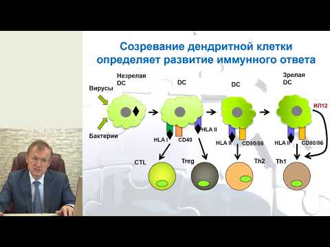 Видео: Лекция профессора Караулова "Мукозальный иммунитет и иммунокоррекция"