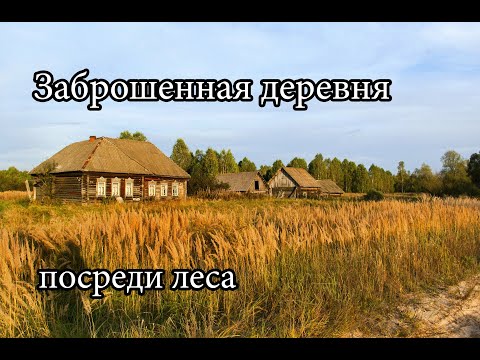 Видео: Заброшенная деревня Вознесеновка