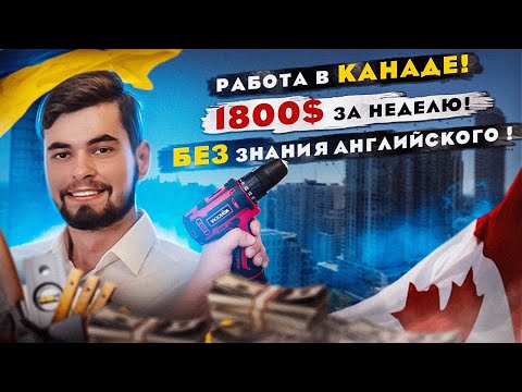 Видео: Работа в Канаде! Заработал 1800$ за одну неделю! Без знания Английского! Иммиграция и Жизнь! CUAET🇨🇦