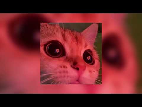 Видео: LOBODA - Твои глаза (slowed song)