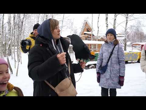 Видео: Говорящий ворон Карлуша, зоопарк Ковчег