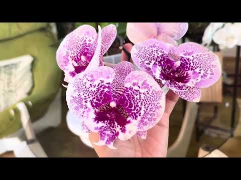 Видео: Видео для души