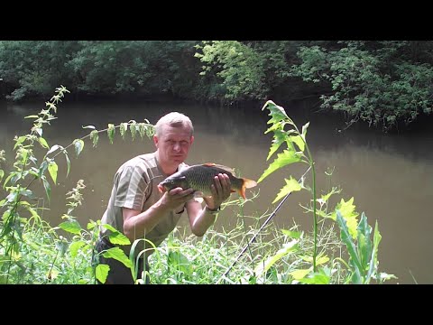 Видео: Рыбалка на малой реке. Как всегда быть с уловом.