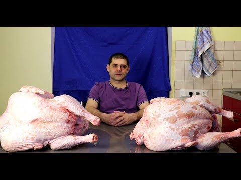 Видео: Индюки Хайбрид Конвертер ч.10 Мясо.