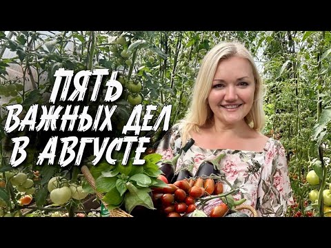 Видео: ЧТО НУЖНО СДЕЛАТЬ В АВГУСТЕ и получить большой урожай?