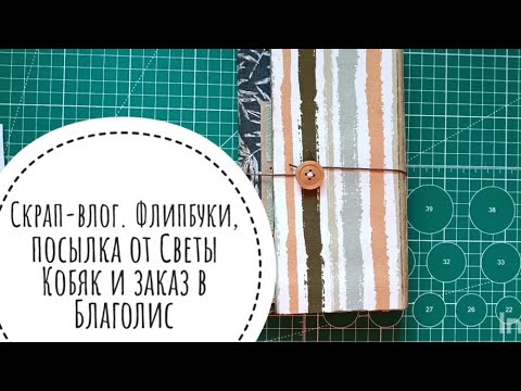 Видео: Скрап влог 2 в 2024. Флипбуки, посылка от Светы Кобяк и заказ в Благолис