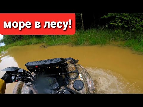 Видео: Чуть не утопили Yamaha Grizzly 700 / Море в лесу!