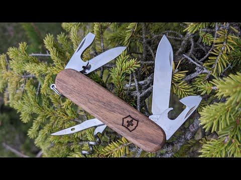 Видео: нож Victorinox Spartan Wood, обзор