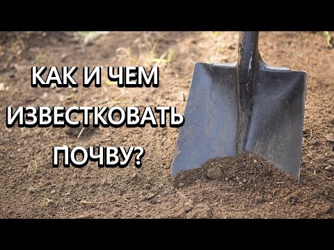 Видео: Как и чем известковать почву?