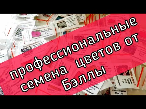 Видео: Профессиональные семена цветов от Бэллы(Bella)/Какие семена заказала на  2021[где купить профсемена]