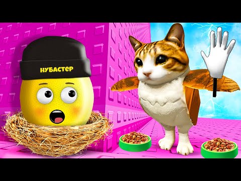 Видео: СБЕГИ ИЗ БАШНИ МЯВЛА КОТА ПТИЦЫ в ROBLOX!