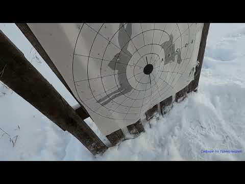 Видео: АТА ARMS NEO 12 против  BENELLI COMFORT. Тест патронами АЗОТ ПРАКТИК с дробью № 4.