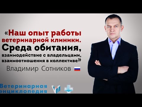 Видео: Наш опыт работы ветеринарной клиники.  взаимодействие с владельцами. Взаимоотношения в коллективе