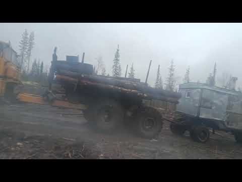 Видео: Прощай, делянка. К700а лесовоз