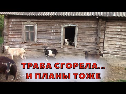 Видео: Расходы и в МИНУС доходы