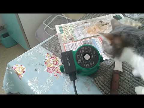 Видео: Окончание эпопеи с насосом повышения давления ОАЗИС