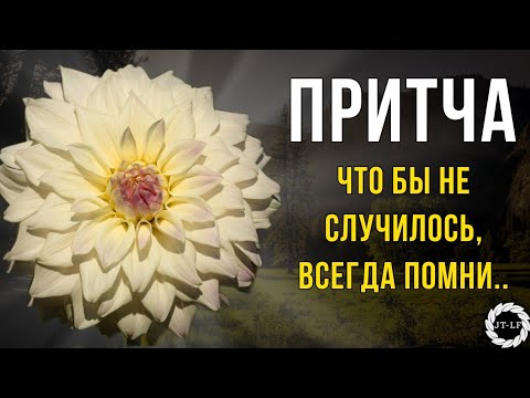 Видео: Сильная притча, которая откроет глаза на мир! (Просто Жизнь)
